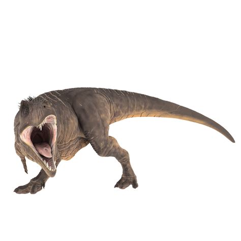 Download Free Photo Of T Rexprehistoricjurassictyrannosaurus