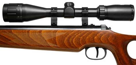 GUN SPORT Ruger Hawk Elite Air Rifle