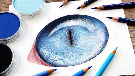 How To Draw A Realistic Cat Eye Panpastel And Colored Pencils