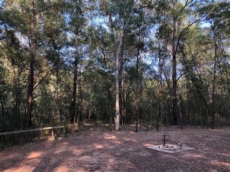 Bush Camping Near Canberra Dry Creek Camping Area Deua Nat Park