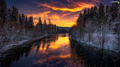Viewes River Great Sunsets Winter Forest Trees For Phone