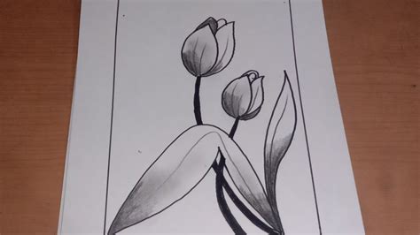 Sketsa Bunga Tulip Simpel Sangat Mudah Untuk Belajar Menggambar YouTube