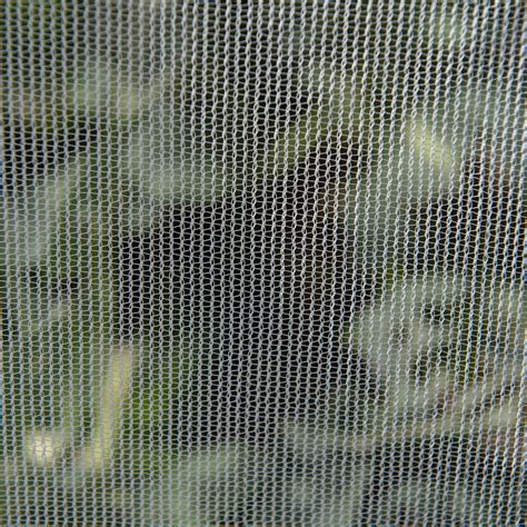Insect Netting For Gardens Australia Fasci Garden