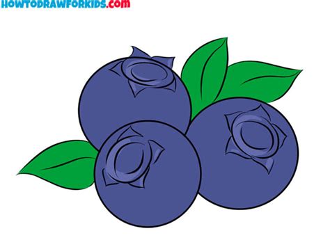 How To Draw A Blueberry Easy Drawing Tutorial For Kids