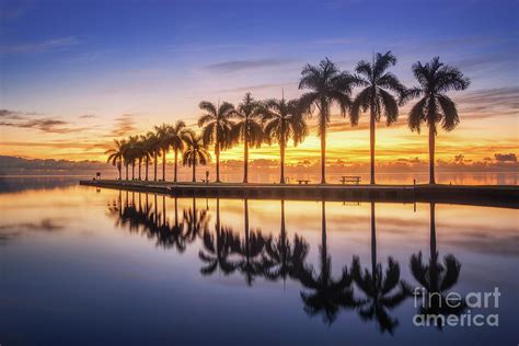 The Reflection Of Palm Tree Photograph By Stanley Chen Xi Landscape