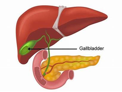 Gallbladder Sludge Flush Liver Diagram Naturally Ways