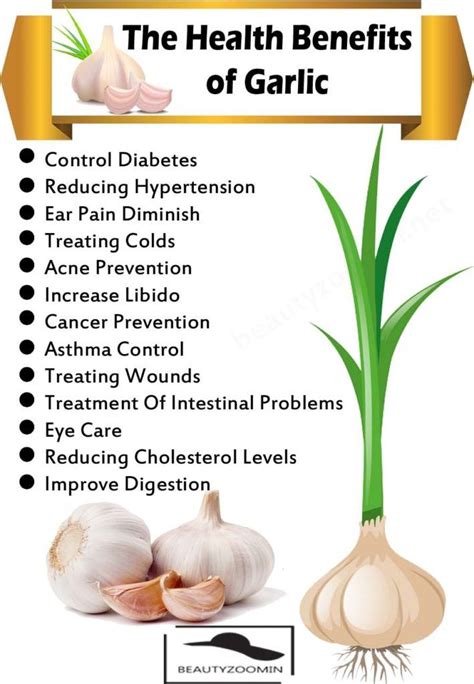13 Interesting Benefits Of Garlic Nutritional Values Of Garlic