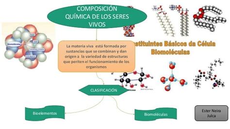 Biomolecula Ss