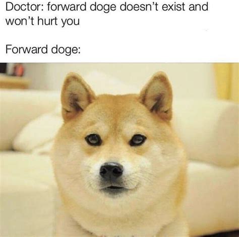 Forward Doge Doge Know Your Meme