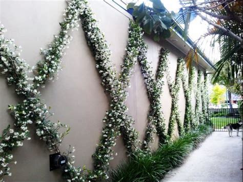Garden Decoration With Jasmine The Most Popular Climbing Plant My