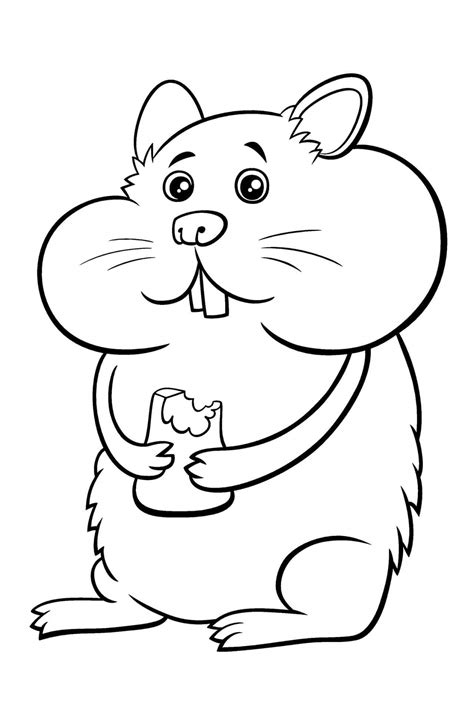 Bom Hamster Para Colorir Imprimir E Desenhar Colorir Me