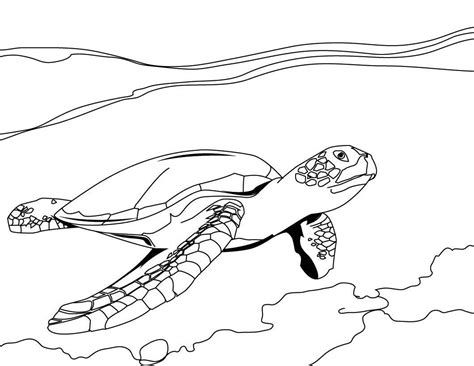 Tortuga para colorear, pintar e imprimir