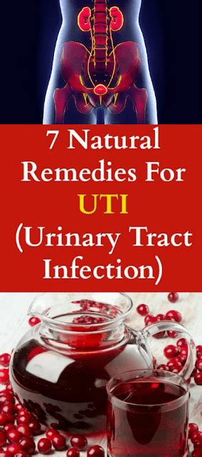 Here Are 7 Natural Remedies For Urinary Tract Infection Uti