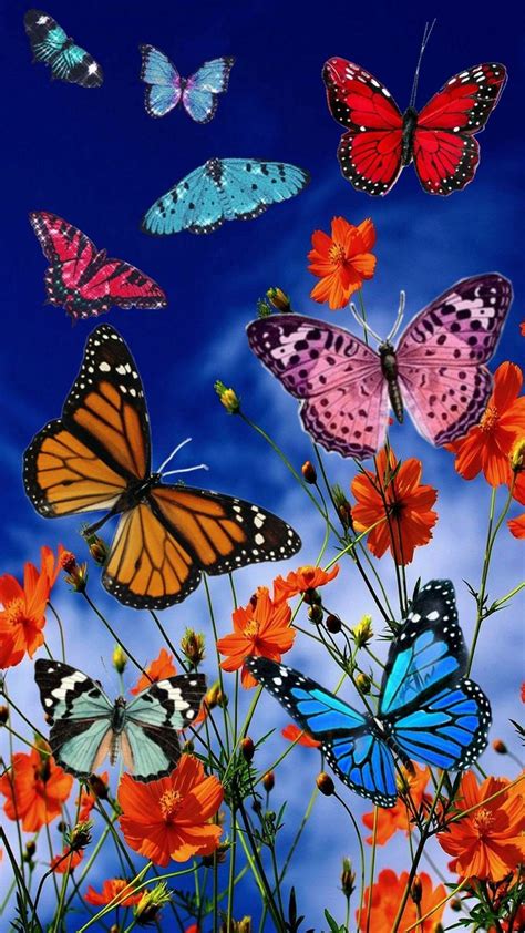 Pin By Anna Majchrowicz On Motyle Beautiful Butterflies Art