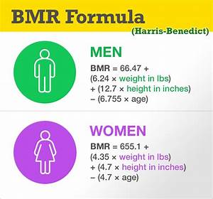 Bmr Formula Basal Metabolic Rate