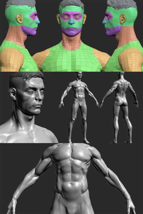Artstation Full Male Body Topology And Uv Map Resources In 2023