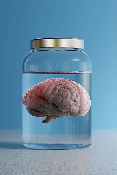 Brain In Jar Stock Photos Pictures And Royalty Free Images Istock