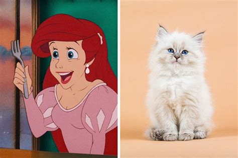 Who Needs A Prince When You Can Have A Cat Zelda Characters Disney
