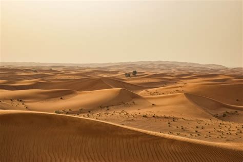 Artistic Sand Dunes In The Desert Of United Arab Emirates Artsy Sand