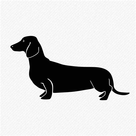 Download Free 7775 Svg Svg Free Dachshund Svg Best Free Svg File