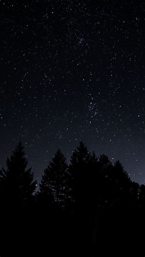 Starry Sky Trees Night Night Sky Wallpaper 4k Background Dark
