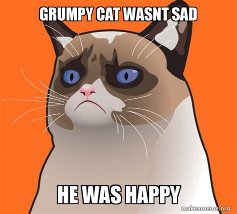 Grumpy Cat Wasnt Sad He Was Happy Cartoon Grumpy Cat Make A Meme