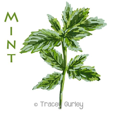 Mint Painting Original Art Download 2 Files Mint Clip Etsy