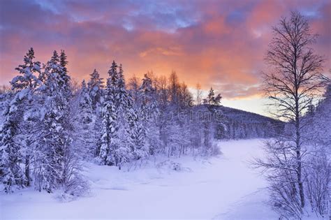 Sunrise Over A River In Winter In Finnish Lapland Stock Image Image