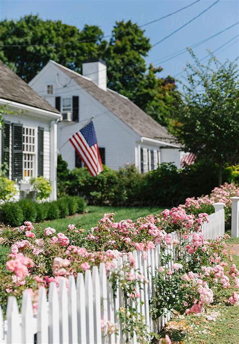 Summer Roses On White Picket Fence In New England By Stocksy