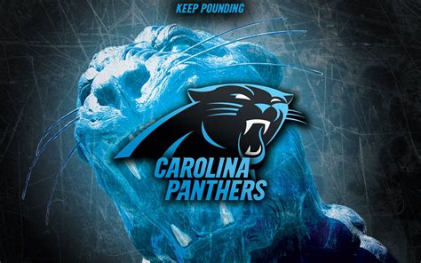 Carolina Panthers Wallpapers Top Hình Ảnh Đẹp