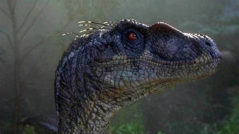 Jurassic Park Iii Brings The Original Trilogy To An End With A Dull