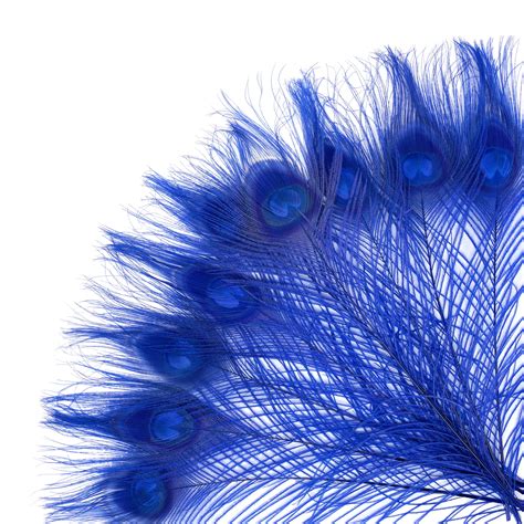 Peacock Feathers 5 To 100 Pieces Royal Blue Bleached Dyed Tails
