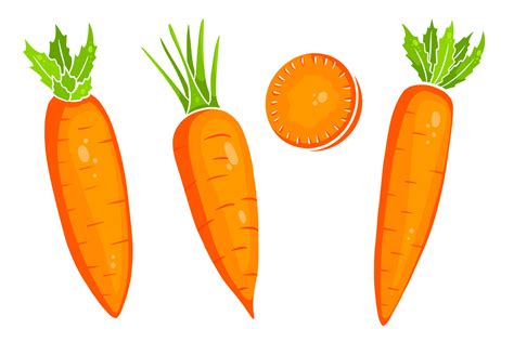 Carrot Set Fresh Carrots And Slices In A Cartoon Style 4226570