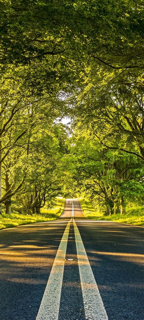 Beautiful Road Wallpaper