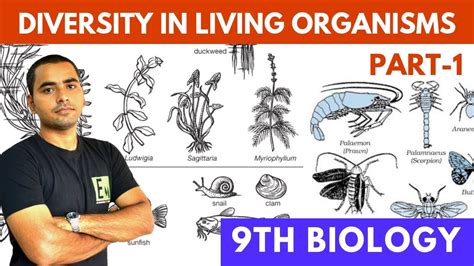 Diversity In Living Organisms Part 1 Class 9 Cbse Youtube
