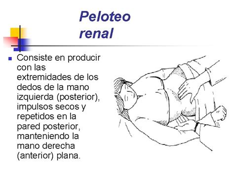 Examen Fsico Del Sistema Urinario Dr Ms C