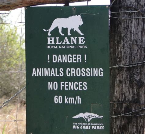 Nature reserves of eswatini (swaziland) are considered among the finest in the entire african continent. Swaziland Game Parks and Nature Reserves on a budget (With ...