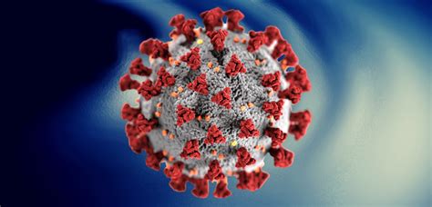Coronavirus Disease Covid 19 Information Immunodeficiency Canada