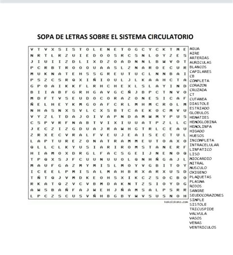 Pin De Gloria Fannely Quinchia Montoy En Ciencias Sopa De Letras