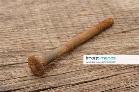 Rusty Metal Screw On Rustic Wood Copyright Xphotohomepagex