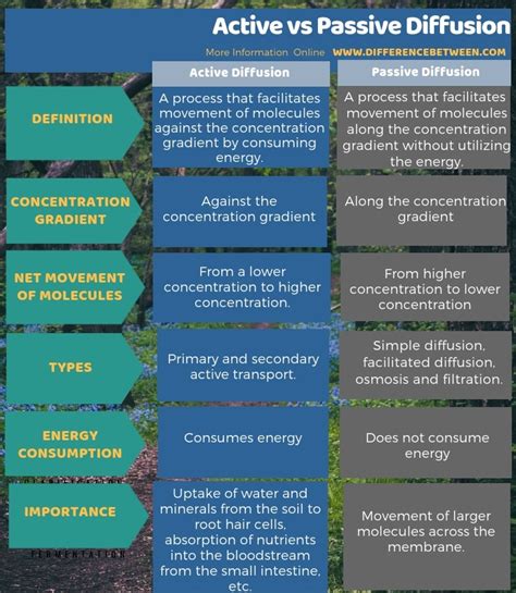 difference between active and passive diffusion compare the difference between similar terms