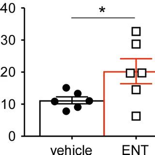 Class I HDAC Inhibition Reverses CD8Treg Ratios In Tumor And Ascites