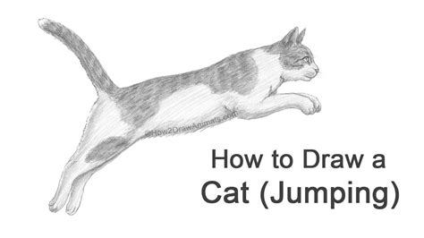 How To Draw A Cat Jumping Leaping Youtube