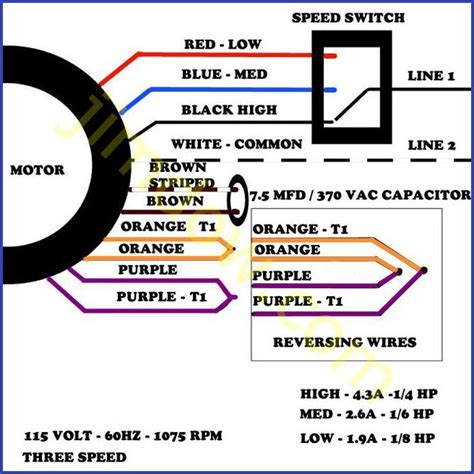 speed fan wiring diagram wiring diagram networks