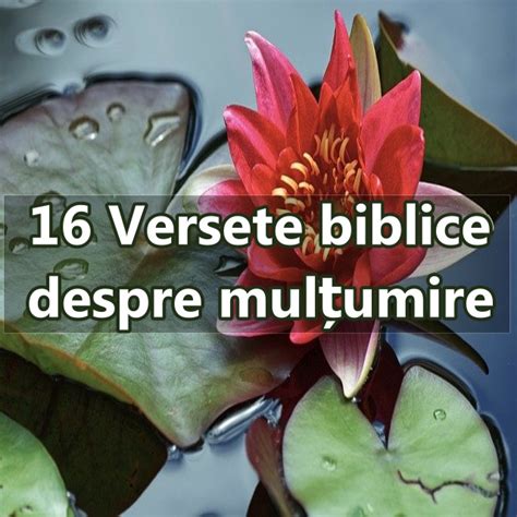 16 Versete Biblice Despre Mulțumire Calea Ingusta
