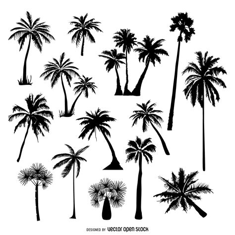 Easy Palm Tree Drawing At Getdrawings Free Download
