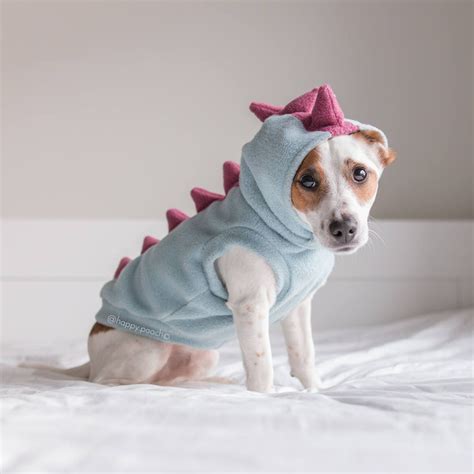 Dinosaur Dog Hoodie Dino Dog Clothes Warm Dog Sweater Etsy