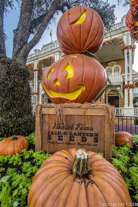 The entrance to studio 5 at the city road complex gave its name to the 1980s music television programme, the tube. PHOTOS: Halloween Decorations Appear on Main Street USA ...