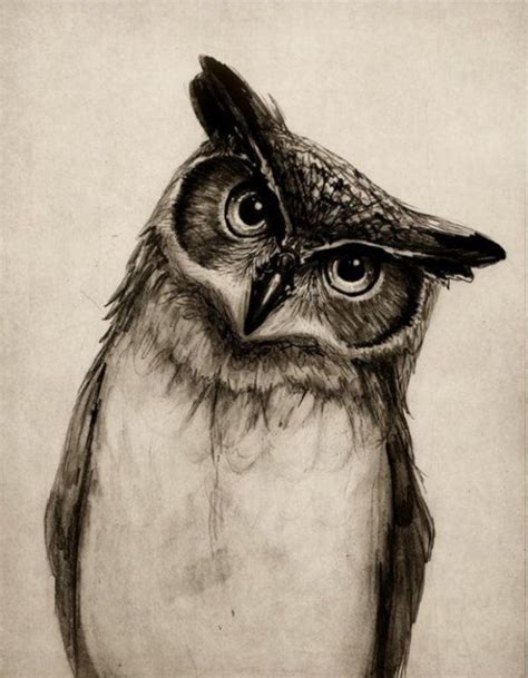 giving life to your pencil art 45 realistic drawings greenorc owl sketch pencil drawings