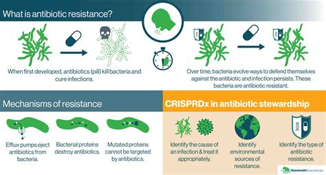 antibiotic resistance how it works and how we can fight it with crispr diagnostics mammoth
